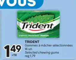 Brunet TRIDENT Gommes à mâcher sélectionnées offer