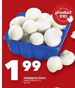 Marche Ami CHAMPIGNONS BLANCS offer