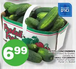 Marches Tradition SMALL CUCUMBERS offer