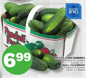 Marches Tradition SMALL CUCUMBERS offer