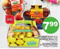 Marches Tradition NECTARINES, PEACHES OR YELLOW PLUM BASKET offer