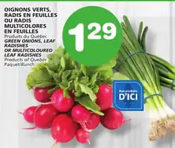 Marches Tradition GREEN ONIONS, LEAF RADISHES OR MULTICOLOURED offer
