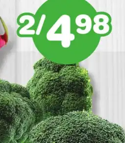 Marches Tradition CROWN OF BROCCOLI offer