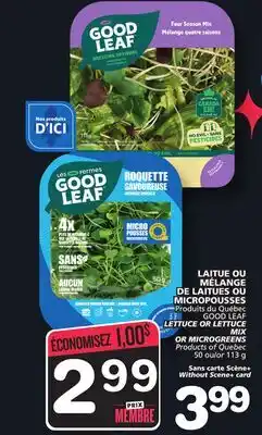 Marches Tradition GOOD LEAF LETTUCE OR LETTUCE MIX OR MICROGREENS offer