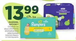 Proxim PAMPERS, OPTION + Selected diapers or training pants offer