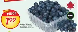 Sobeys Blueberries offer