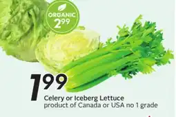 Sobeys Celery or Iceberg Lettuce offer