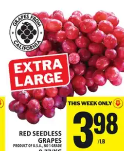 Food Basics RED SEEDLESS GRAPES offer