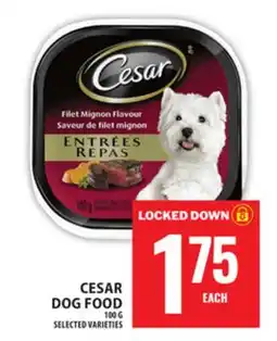 Food Basics CESAR DOG FOOD offer