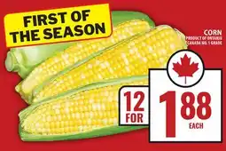 Food Basics CORN offer