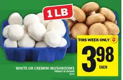 Food Basics WHITE OR CREMINI MUSHROOMS offer