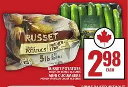 Food Basics RUSSET POTATOES OR MINI CUCUMBERS offer