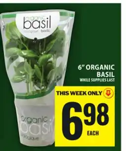 Food Basics 6 ORGANIC BASIL offer