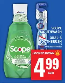Food Basics SCOPE MOUTHWASH OR ORAL-B TOOTHBRUSH offer