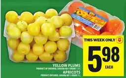 Food Basics YELLOW PLUMS OR APRICOTS offer