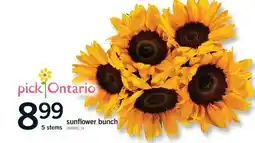 Fortinos SUNFLOWER BUNCH, 5 STEMS offer