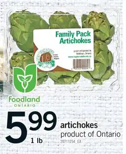 Fortinos ARTICHOKES, 1 LB offer