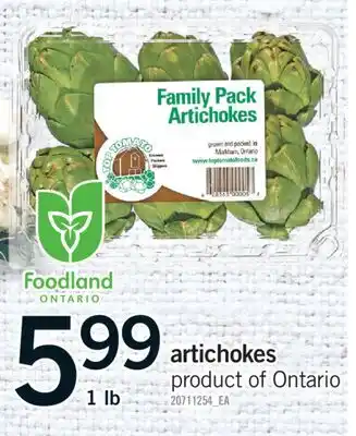 Fortinos ARTICHOKES, 1 LB offer