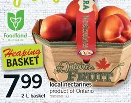 Fortinos LOCAL NECTARINES, 2L basket offer