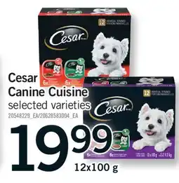 Fortinos CESAR CANINE CUISINE, 12X100 G offer
