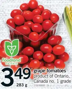 Fortinos GRAPE TOMATOES, 283 g offer