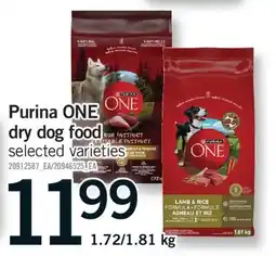 Fortinos PURINA ONE DRY DOG FOOD offer