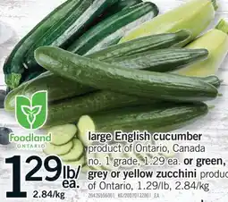 Fortinos LARGE ENGLISH CUCUMBER OR GREEN, GREY OR YELLOW ZUCCHINI offer