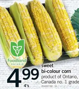 Fortinos SWEET BI-COLOUR CORN, 4'S offer