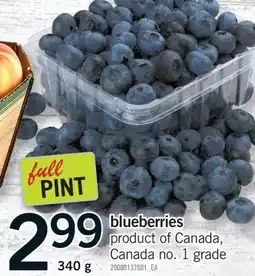 Fortinos BLUEBERRIES, 340 g offer