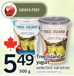 Fortinos TREE ISLAND YOGURT, 500 g offer