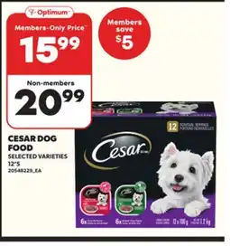 Loblaws CESAR DOG FOOD,12'S offer