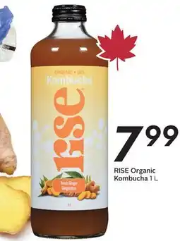 Sobeys RISE Organic Kombucha offer