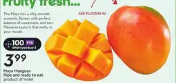 Sobeys Maya Mangoes offer