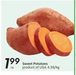 Sobeys Sweet Potatoes offer