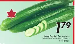 Sobeys Long English Cucumbers offer
