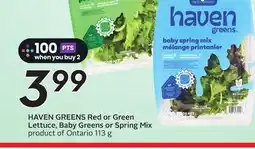 Sobeys HAVEN GREENS Red or Green Lettuce, Baby Greens or Spring Mix offer