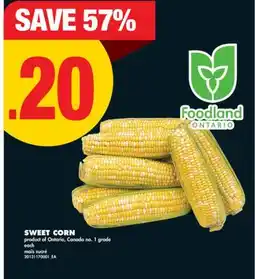 No Frills SWEET CORN offer