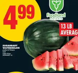No Frills SUGARBABY WATERMELON offer