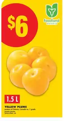 No Frills YELLOW PLUMS, 1.5 L offer