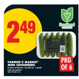 No Frills FARMER'S MARKET MINI CUCUMBERS, PKG OF 6 offer