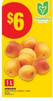 No Frills APRICOTS offer