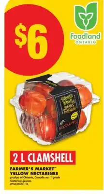 No Frills FARMER'S MARKET YELLOW NECTARINES, 2 L CLAMSHELL offer