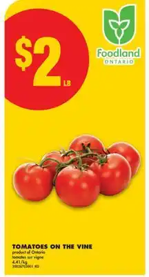 No Frills TOMATOES ON THE VINE offer