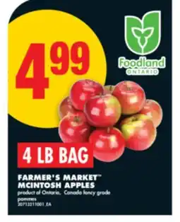 No Frills FARMER'S MARKET MCINTOSH APPLES, 4 LB BAG offer
