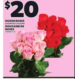 Independent Grocer DOZEN ROSES offer