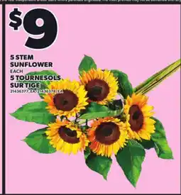 Independent Grocer 5 STEM SUNFLOWER offer