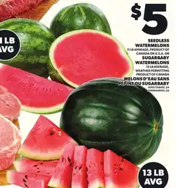Independent Grocer SEEDLESS WATERMELONS, 11 LB OR SUGARBABY WATERMELONS 13 LB AVERAGE offer