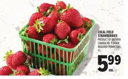 Metro LOCAL FIELD STRAWBERRIES offer