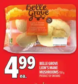 Metro BELLE GROVE LION'S MANE MUSHROOMS offer