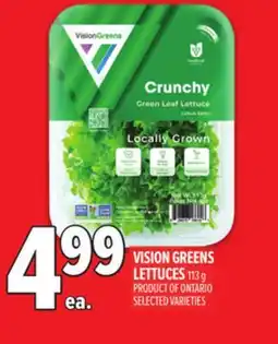 Metro VISION GREENS LETTUCES offer